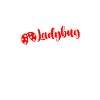 Professioneller Marienkäferflüsterer