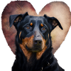 Beauceron Valentine's Day