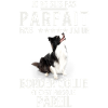Border Collie Presque Parfait