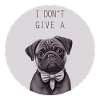 I don't give a Pug