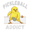 Pickleball Addict