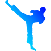 Boxe Kickboxing Kickboxing Kickboxer Femmes