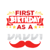 Första födelsedagen som pappa pappafest