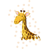 Safari Zoo Animal Safari Zoo