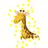 Safari Zoo Animal Safari Zoo