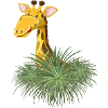 Safari Zoo Animal Safari Zoo