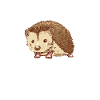 Hérisson Whisperer Dictons Pet Cute