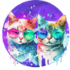 Rainbow Cats Couple
