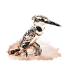 Kookaburra Vogelliebhaber Zitat Kookaburra -Fan