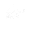 Pickleball wheelchair