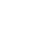 Darmevolution