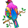 Oiseau