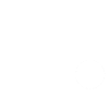 2006