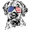 LAGOTTO ROMAGNOLO America Flag Occhiali da Vista Wilsigns