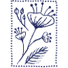 Blue poppy seeds