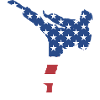 Sport Us Flag Taekwondo