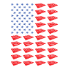 Sport Us Flag Wrestling