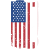 Sport Us Flag Wrestling