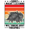 Stachelschwein Geschenk Porcupine