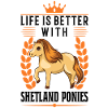 La vita è con un pony Shetland