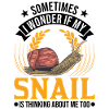 Snail Gift Vineyard Snail