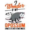 Opossum Gift Possum Marsupial