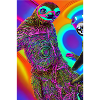 Psychedelic Sloth 2