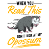 Opossum Gift Possum Marsupial