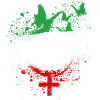femme vie lieberté,iran,liberté,femmes, papillon