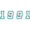 1991 Year Number