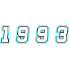 1993 Year Number