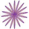 Gold and purple petals