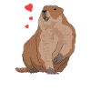 Marmottes marmotte Munggen Mankai cadeau