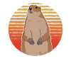Groundhog Groundhog Mankai Munggen Gift