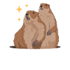 Marmots Mankai Groundhog Munggen Gift