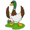 Duck Sunglasses
