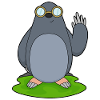 Mole glasses