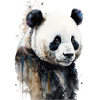 Aquarelles Panda