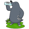 Mole water bottle