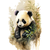 Aquarelle de panda mignon
