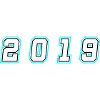 2019 Year Number