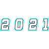 2021 Year Number