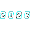 2025 Year Number