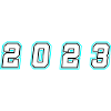 2023 year number