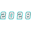 2028 year number
