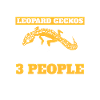 Reptile Lizard Leopard Gecko