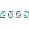 2029 Year Number