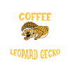 Reptile Lizard Leopard Gecko