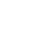Argentinosaurus fossil skull