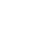 Argentinosaurus fossil skull